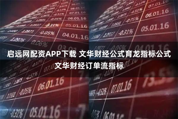 启远网配资APP下载 文华财经公式育龙指标公式文华财经订单流指标