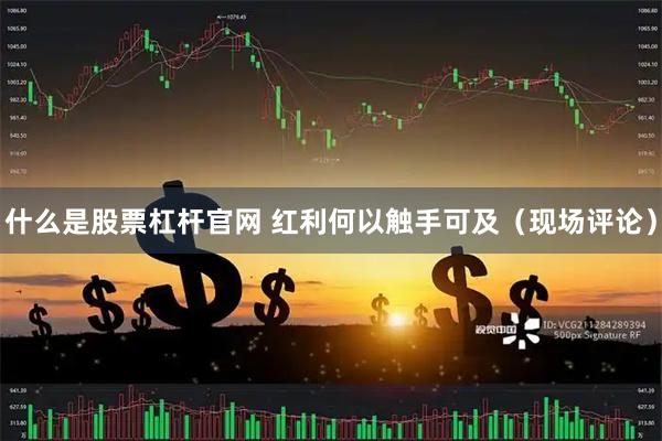 什么是股票杠杆官网 红利何以触手可及（现场评论）
